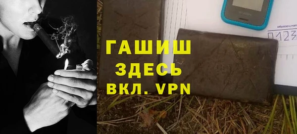 сатива Грязовец